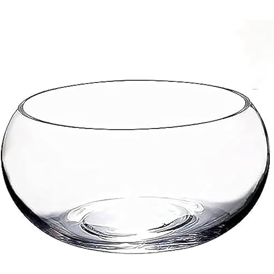 Amazon.co.jp: 金魚鉢 水槽 丸型水槽 ガラス容器 メダカ 鉢