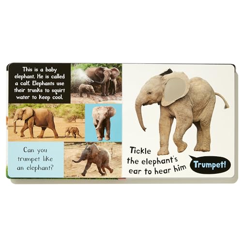 Noisy Baby Animals: Includes 6 Sounds and an On/Off Switch on the Back Cover! (My First)