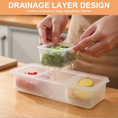 DEARBAG Gekühlter Zutatenbehälter 3 Stück mit 9 Fächern und 3 Deckeln, Geteiltes Serviertablett mit Deckel, Stapelbar Abnehmbare Wiederverwendbare, Zutaten Gewürzspender für Obst, Salat, Taco