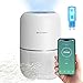 Produktbild Silvergear® Luftreiniger Pro mit APP & H13 HEPA Filter | Air Purifier Gegen 99,97% von Allergenen | Eingebauter UV-C-Lampe | Luftreiniger Raucherzimmer | Raumluftreiniger 4 Lüfterstufen und Timer