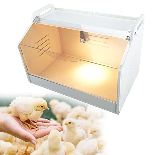 Chick Brooder Box, a Beginner's Kit for Raising Chickens, Suitable