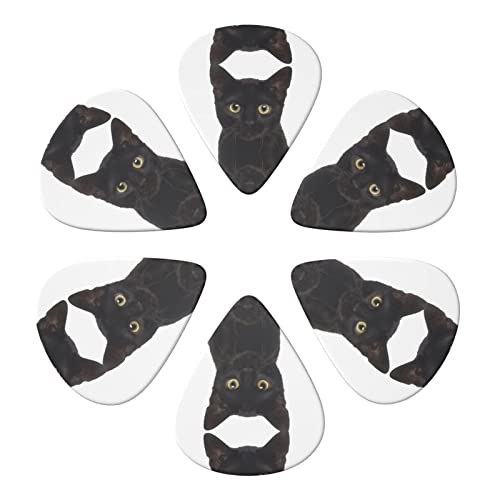 Ensemble de 6 médiators de guitare chat mignon noir pour guitare acoustique, guitare électrique, basse, ukulélé – fin… - Les Beatles, Paul McCartney, John Lennon, RIngo Starr, George Harrison Ensemble de 6 médiators de guitare chat mignon noir pour guitare acoustique, guitare électrique, basse, ukulélé - fin… – Image 5