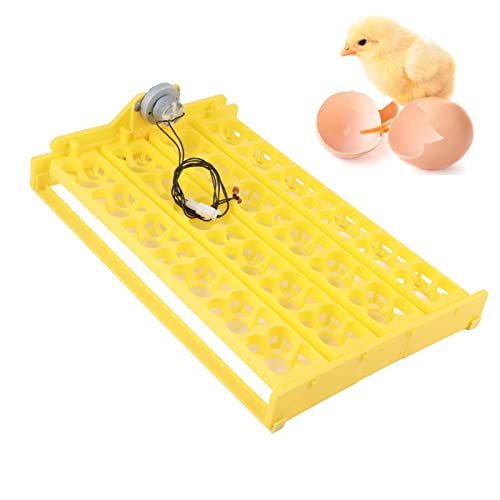 Egg Incubator, 24 Eggs Automatic (12V)