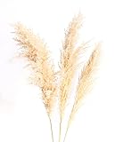 ✅Estas bonitas decoraciones para el hogar se adaptan a todo tipo de estilos. 3 ramas en formato XXL (118 cm) que te permite elegir la altura ideal para cualquier ambiente y para cualquier tipo de maceta. Al no ser flores artificiales le dan un toque natural a tu hogar
