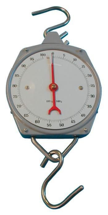 Berger + Schröter 50063 Peson 100 kg Gris