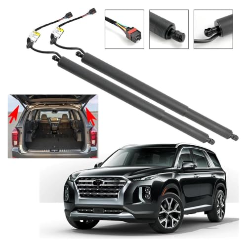 Vérins électriques de hayon bloqué : solution Hyundai Palisade 2020