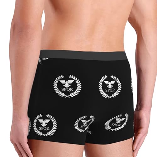 SPQR Men's Underwear, Men's Boxer Briefs4