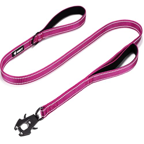 GEIT 4/5/6FT Heavy Duty Dog Leash with 2 Comfortable Padded Handles, Reflective Rope Leashes with...