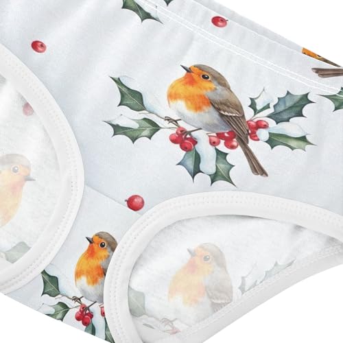 Girls Underwear Toddler 2t Cotton Cute Panties Girl Fun Print Briefs Kids Undies Cartoon Birds Red Berries Winter4