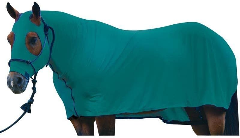 X-Large Solid Full Body Royal Blue