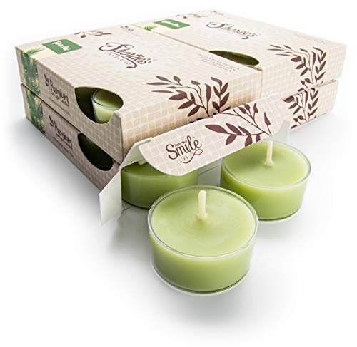 Tahoe Pine Premium Tealight Candles Bulk Pack - Highly Scented With Essential & Natural Oils - 24 Green Tea Lights - Beautiful Candlelight - Made In The Usa - Fresh & Clean Collection #TOP14