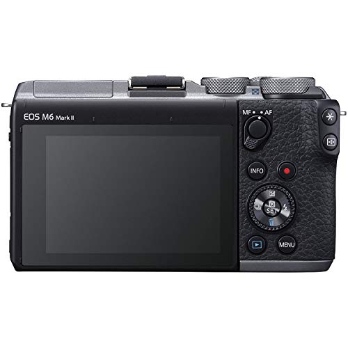 Mirrorless Camera with 4K Video Capability