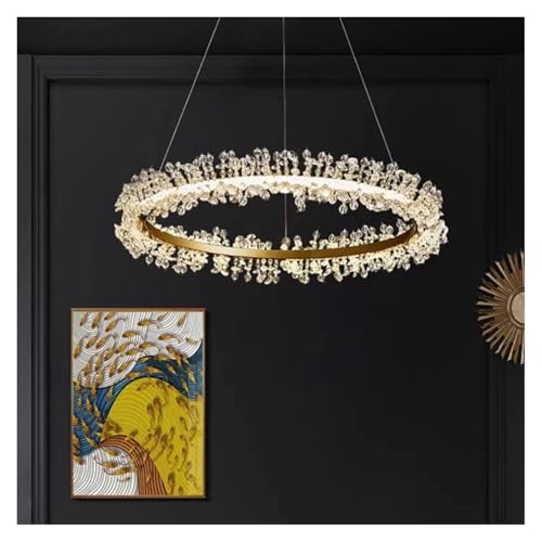 Lustres pour salon et lampes suspendues LED modernes de 40 cm avec télécommande