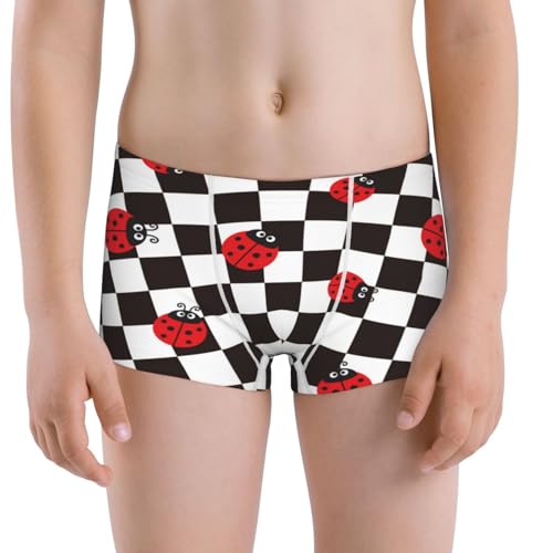 Boys' Cotton Boxer Brief Soft Underwear-Ladybugs Of Black And White Checkers