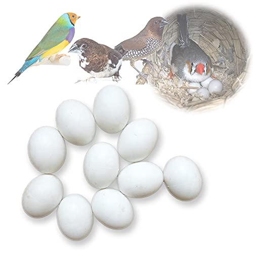 Image of MESINURS Solid Plastic Eggs - Parrot Bird Hatching Replacing Eggs for Guiding Birds to Stop Laying, 10 PCS (S)