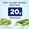 Ensure Plant-Based Protein Nutrition Shakes with 20g Fava Bean & Pea Protein, Vanilla & Chocolate Flavors, Pack of 12, 11 Fl Oz