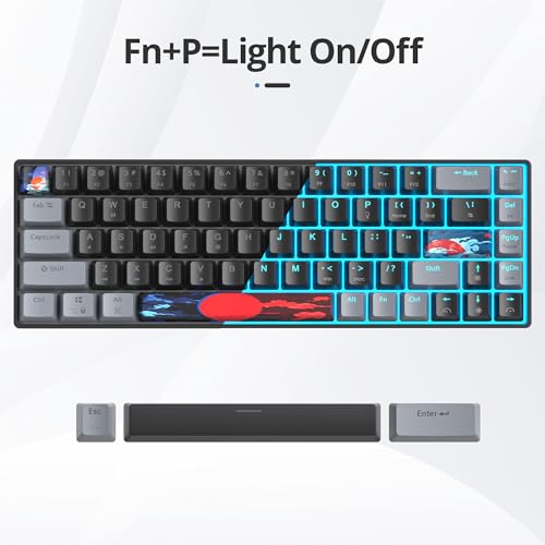 Image of 65 Percent Gaming Keyboard 68 Keys Mechanical Keyboard LED Backlit Ultra Compact Wired Key Board with Red Switch for Windows Laptop Gamer(68Dark)