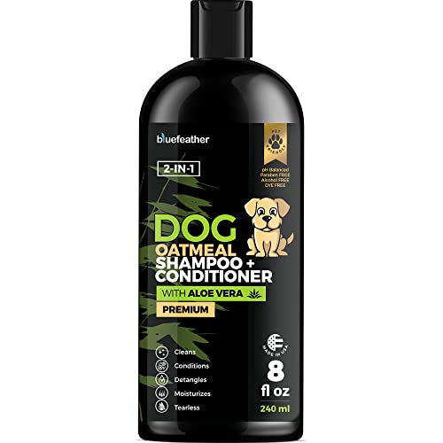 10 Best 2 In 1 Dog Shampoo