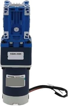 Adjustable Speed Motor 0.1rpm to 1.5rpm RV40 DC Worm Gear Reducer Motor 90W 12V 24V 2- Stage Gearmotor NMRV40 with self-Locking Speed AdjustableDc12v,0.1rpm