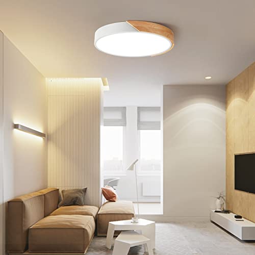 Vikaey Modern Led Ceiling Light, Minimalist Wood Style Flush Mount Ceiling Light Fixture, Circle Lighting Lamp With Acrylic Lampshade For Bedroom Living Room Dining Room Laundry (White, 15.8'') #TOP4