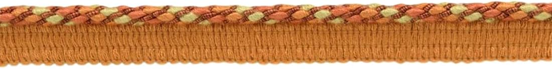 DÉCOPRO 4/16" (0.5cm) Marrakesh Collection Decorative Twisted Rope Cord Trim with Lip (Style# 0025RW) Cabbage Green Multicolor (Color# VL11) 5 Yards (15 ft/4.5m)