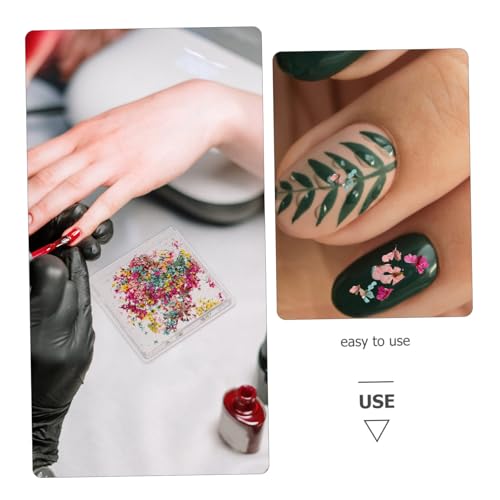 Decoración floral seca para uñas con caja portátil miniatura 6