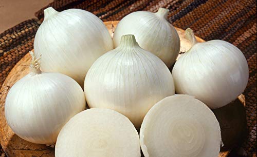 Seeds4Planting - Seeds Onion White Queen Giant Round Neutral Day Heirloom Vegetable Non Gmo For Planting #TOP4