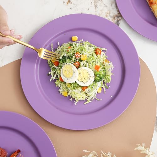 Berglander Kunststoff teller-Set mit 8 Stück 25cm, lila Mehrwegige flache Speiseteller, Salatteller, Nudelschalen, Geschirrset leicht zu tragen für Zuhause, Garten, Picknick, Camping, im Freien