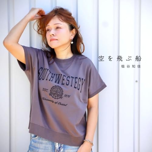 空を飛ぶ船のサムネイル