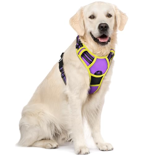 Image of rabbitgoo Dog Harness No Pull with 2 Leash Clips, Adjustable Soft Padded, Reflective Oxford No Choke Pet Vest with Easy Control Handle for Large Dogs, Purple & Yellow, XL