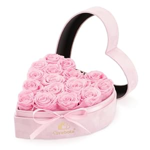 16 Preserved Roses Heart Shape Box, Forever Real Roses Gift, Forever Flowers Gift for Her Women Girlfriend Wife Mom Valentines Birthday Pink
