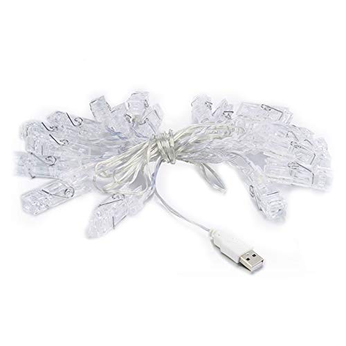 lujiaoshout 40 LED Battery Operated String Lights 14ft Warm Color for Garden Party and Holiday Decoration (Warm White)