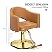 OmySalon Barber Chairs for Barbershop Gold Brown Styling Chair, Salon Chair for Hair Stylist, Heavy Duty Hydraulic Pump, 360°Swivel with Footrest, Hairdressing Home Beauty Spa Equipment