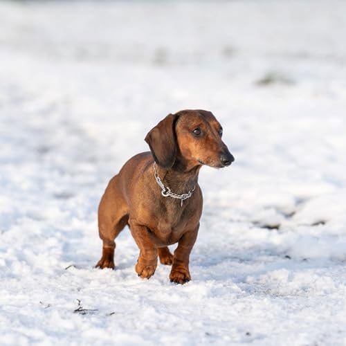 Herm. Sprenger Hundehalskette – Verstellbar, Edelstahl rostfrei, 2,0 mm, mit Sprenger-Haken & Durchzugskette – sicher & sanft für Training & Alltag (30 cm)