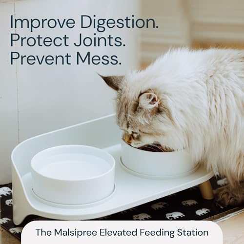 Malsipree Cat & Dog Bowls Elevated Set With Stand - Ceramic Raised Dog Bowls For Extra Small To Small Dogs & All Sized Cats thumb #7