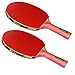KEVENZ 2-Pack Advanced Table Tennis Racket