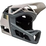 Fox Proframe RS Helmet