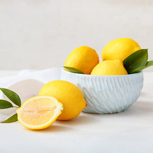Garden State Bulb Meyer Lemon Tree, Citrus Live Plant (1 Gallon Growers Pot) Cannot Ship Fl, Az, Ca, Tx, La #TOP5