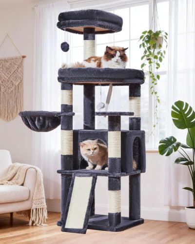 Image of Taoqimiao Sturdy Cat Tree, Cat Tower for Indoor Cats, Extra-Large Platform | 58.7Inch, Widened Cat Condo with Large Scratch Board, Top Perch, 6 Sisal Scratching Posts, Soft Basket, Smoky Gray MS045SG