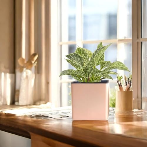 Image of Indian Discovery Self Watering Wall Hanging Planter|Hanging /Hooked Flower Pots for Home, Balcony, Vertical Garden Decor Flower Pots(1 PC, Peach, Square) |6 Inch UV-Resistant Plastic Plant Pots