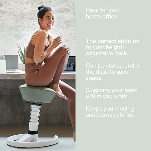 Image of aeris Swopper - Ergonomic Stool - Height-Adjustable Office Stool - Versatile seat for a Healthy Back - Office Chair Without casters, Standard Spring