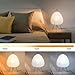 TONGNIDA Japanese Rice Paper Lamp Bedside Table Lamps for Living Room,Paper Lantern Light,Japanese Decor Akari Noguchi Lamp with Button Switch,17INCH Japandi Tripod Lantern Lamps for Desk,E26 Base