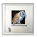 Stupell Industries Barn Owl Peeking Little Hiding Mouse Painting, Design by Alan Weston