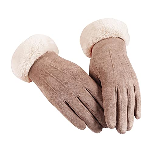 PAOLIAN Wildlederhandschuhe Damen Gefüttert Handschuhe Wasserdicht Winterhandschuhe Warm Verdicken Winddicht Kunstpelzfutter Frauen Outdoor Thermohandschuhe Fäustlinge FüR Damen Cover