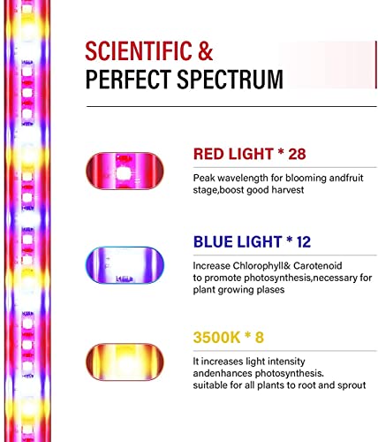 Led Grow Light Strip Full Spectrum Red&Blue&3500K Plant Light With Auto Cycle Timer 3/9/12 Hours 3 Spectrum Modes 10 Dimmable Brightness Level Growing Lamp For Indoor Plants From Seeding To Harvest #TOP2