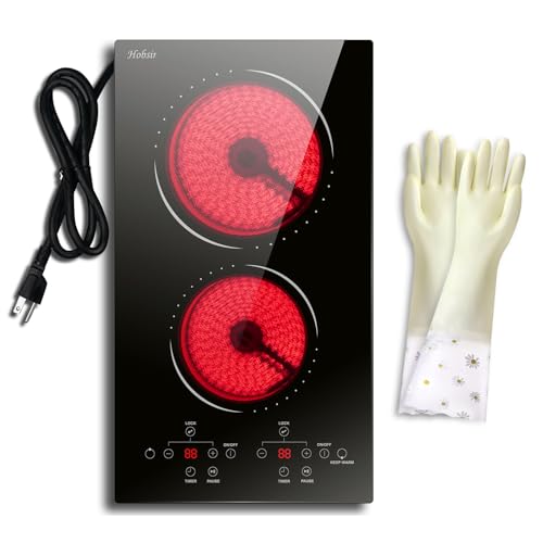 2-Burner Plug-In Electric Cooktop