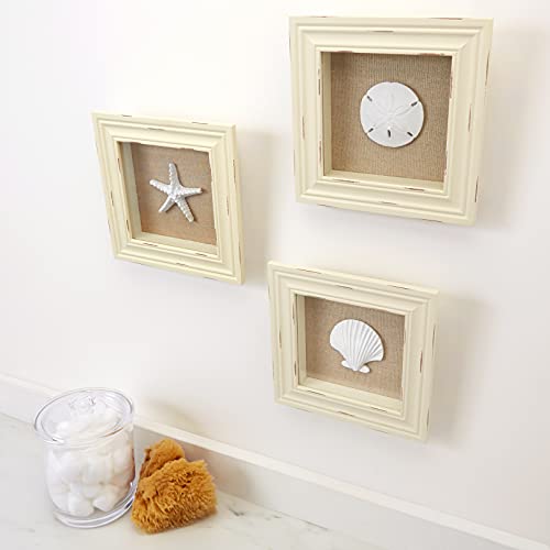 Beachy Set of 3 Shell Shabby Chic Shadow Boxes- Creamy Off White Frame 7" x 7" - Starfish, Sand Dollar and Clam Shell Mounted on Fabric Background by Tumbler Home - Image 2