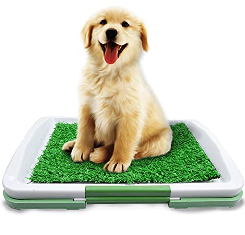 Tapis de toilette herbe pour chiot idéal en appartement et balcon extérieur