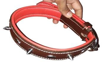 Royal Pet Products Leather Collar Neck Belt with Metal Stud for Dog (Red-PAD 6/8)