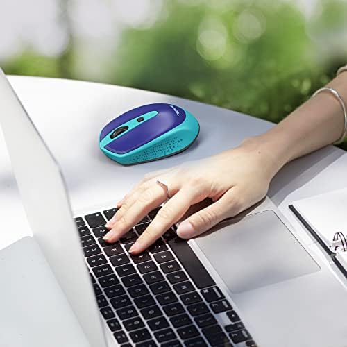 TECKNET Wireless Mouse for Laptop, 2.4G Cordless USB Mouse Portable Computer Mouse, 3 Buttons, 2000 DPI with 3 Adjustable Levels for Windows XP/10/8/7 MAC/Notebook, PC, Computer Office Home Work